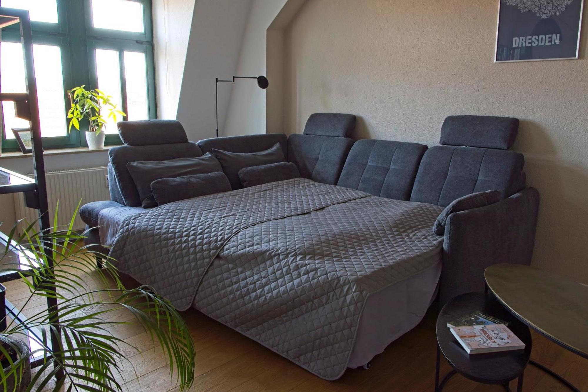 Neustadt-Aussicht - Grosse Wohnung Mit Balkon Dresden Exterior foto